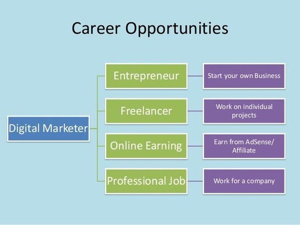 career opportunities